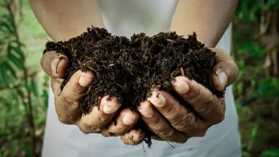Les 7 conseils incontournables pour réussir son compost