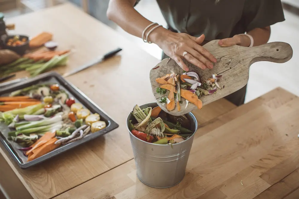 recyclage des déchets organiques