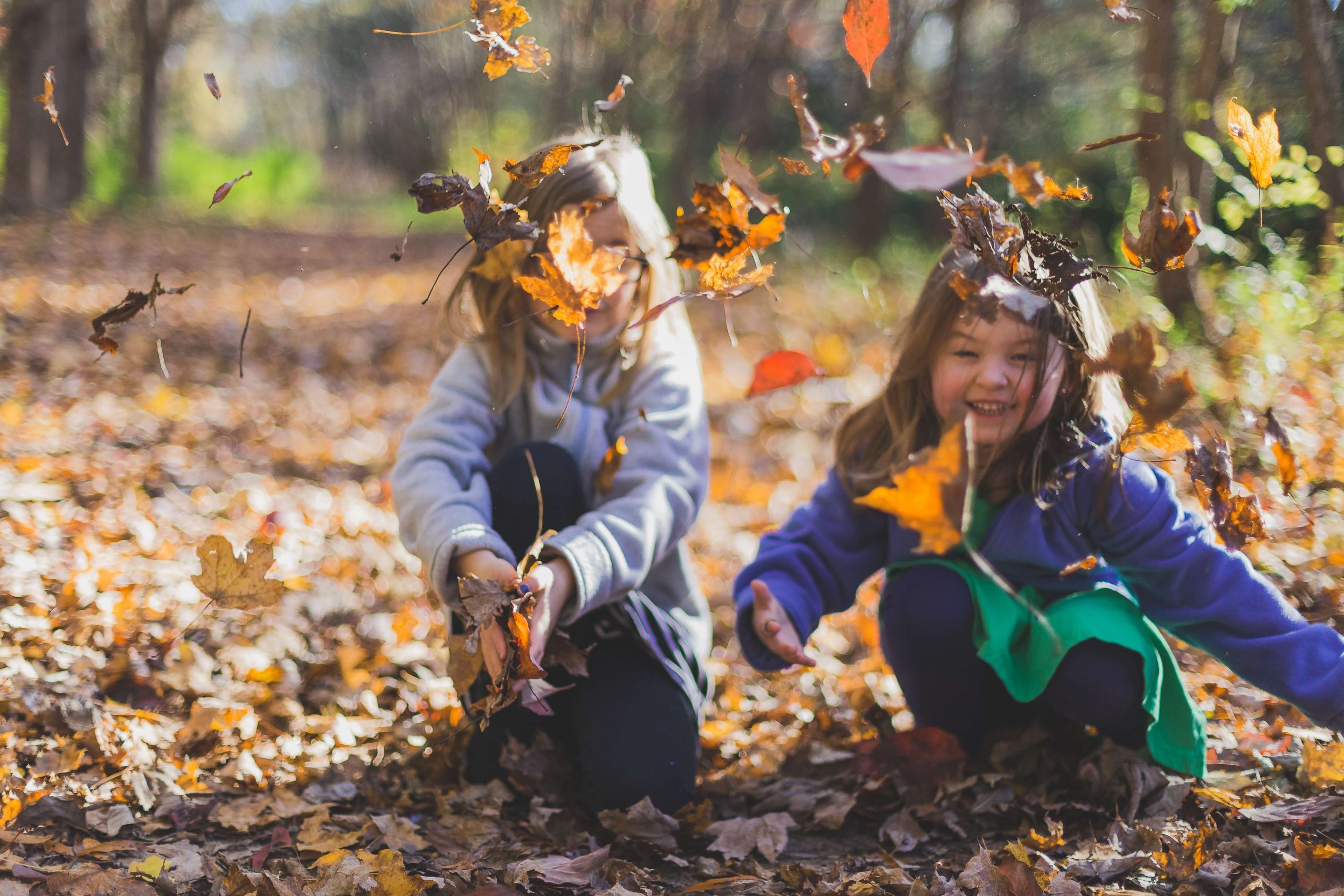 Apprendre le recyclage des déchets végétaux avec 5 conseils